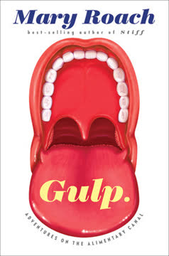 Gulp Summary