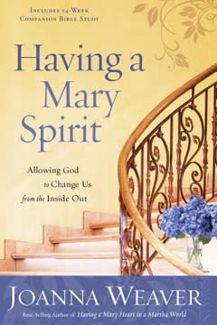 Having a Mary Spirit Summary