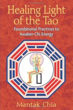 Healing Light of the Tao Summary