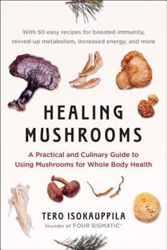 Healing Mushrooms Summary