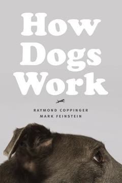 How Dogs Work Summary