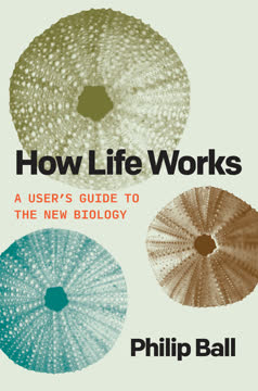 How Life Works Summary