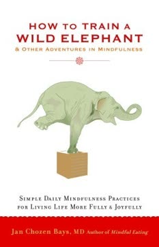 How to Train a Wild Elephant Summary