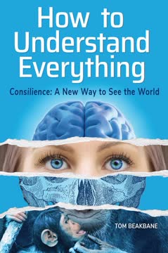 How to Understand Everything
