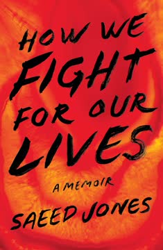 How We Fight For Our Lives Summary