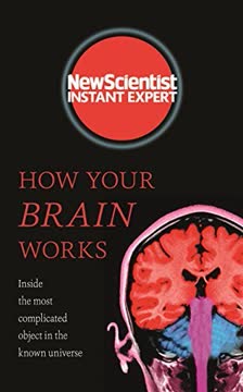 How Your Brain Works Summary