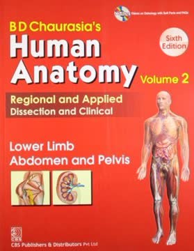 Human Anatomy, Volume 2 Summary