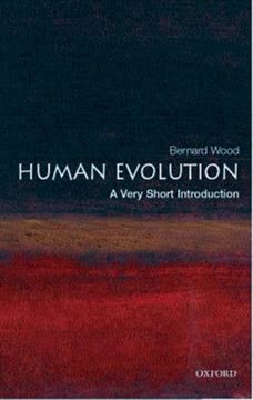 Human Evolution Summary