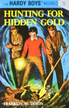 Hunting for Hidden Gold Summary