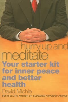 Hurry Up and Meditate Summary