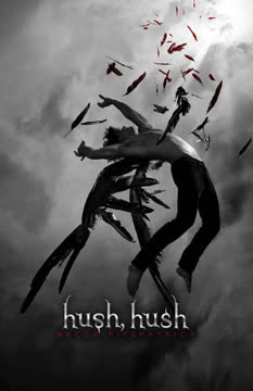 Hush, Hush Summary