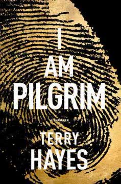 I Am Pilgrim Summary