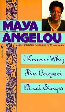 I Know Why the Caged Bird Sings Summary
