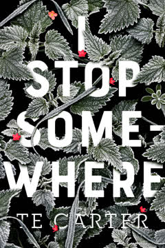 I Stop Somewhere Summary