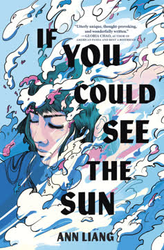 If You Could See the Sun Summary