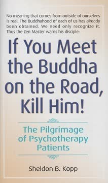 If You Meet the Buddha on the Road, Kill Him! The Pilgrimage of Psychotherapy Patients Summary
