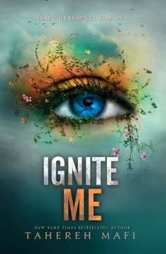 Ignite Me Summary