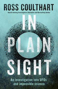 In Plain Sight Summary