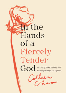 In the Hands of a Fiercely Tender God Summary
