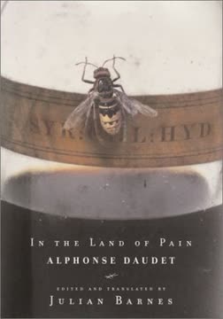 In the Land of Pain Summary