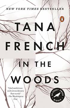 In the Woods Summary