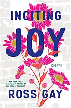 Inciting Joy Summary