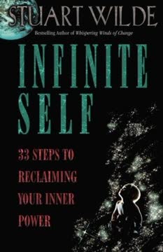 Infinite Self Summary