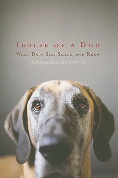 Inside of a Dog Summary