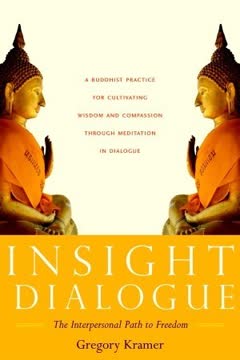 Insight Dialogue Summary