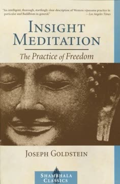 Insight Meditation Summary