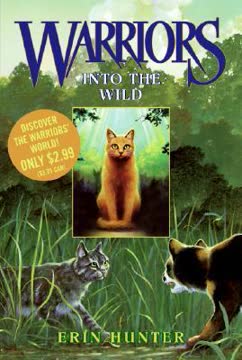 Into the Wild Summary