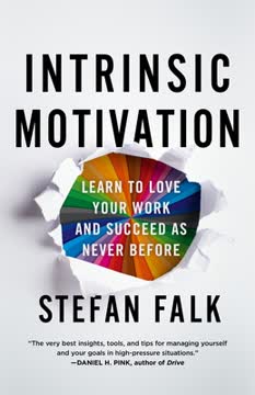Intrinsic Motivation Summary
