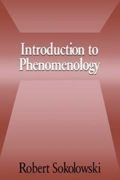 Introduction to Phenomenology Summary