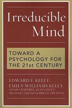 Irreducible Mind Summary