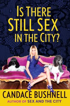 Is There Still Sex in the City? Summary