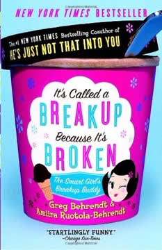 It&#039;s Called a Breakup Because It&#039;s Broken Summary