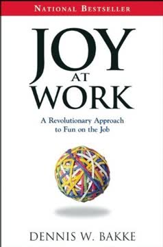 Joy at Work Summary