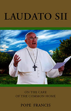 Laudato Si&#039; Summary