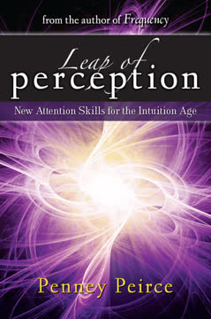 Leap of Perception Summary