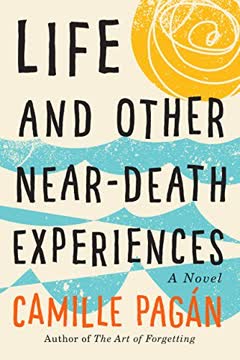 Life and Other Near-Death Experiences Summary