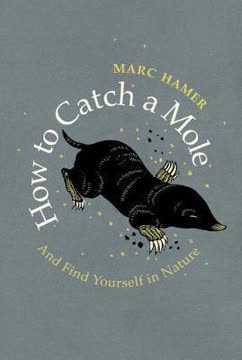 How To Catch A Mole Summary