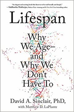 Lifespan Summary