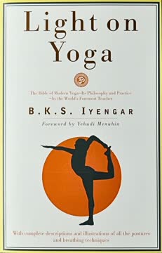 Light on Yoga Summary