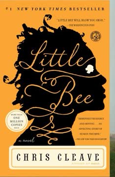 Little Bee Summary