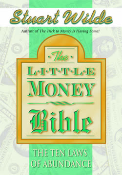 Little Money Bible Summary
