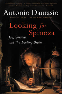 Looking for Spinoza Summary