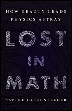 Lost in Math Summary