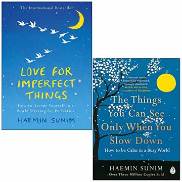 Love for Imperfect Things / The Things You Can See Only When You Slow Down Summary