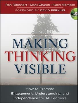 Making Thinking Visible Summary