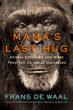 Mama&#039;s Last Hug Summary